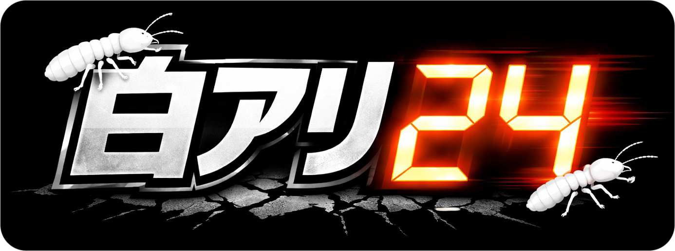 白アリ24